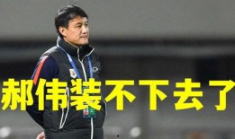 郝伟爆料李霄鹏视频全集,揭秘足球圈背后风云