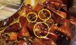 陕西火锅店爆料视频,独家爆料带你领略地道风味