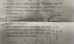 新宇星城爆料最新消息是真的吗,最新消息真实性揭秘