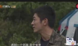 嗯哼爆料挨打视频,真相与争议