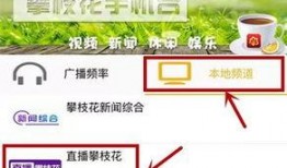 网上爆料攀枝花事件视频,真相与争议交织
