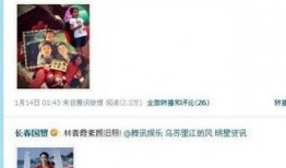 枫丹剧情对话爆料视频,对话爆料视频深度解析