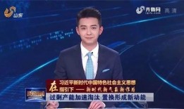 山东新闻联播爆料电话,详情即将揭晓