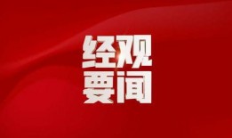 金帝股份最新爆料新闻,揭秘公司重大转型与市场动向
