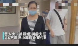 是谁爆料汪小菲呢视频,神秘爆料者身份引热议