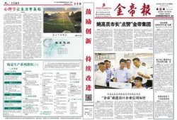 金帝股份最新爆料新闻,揭秘公司重大转型与市场动向